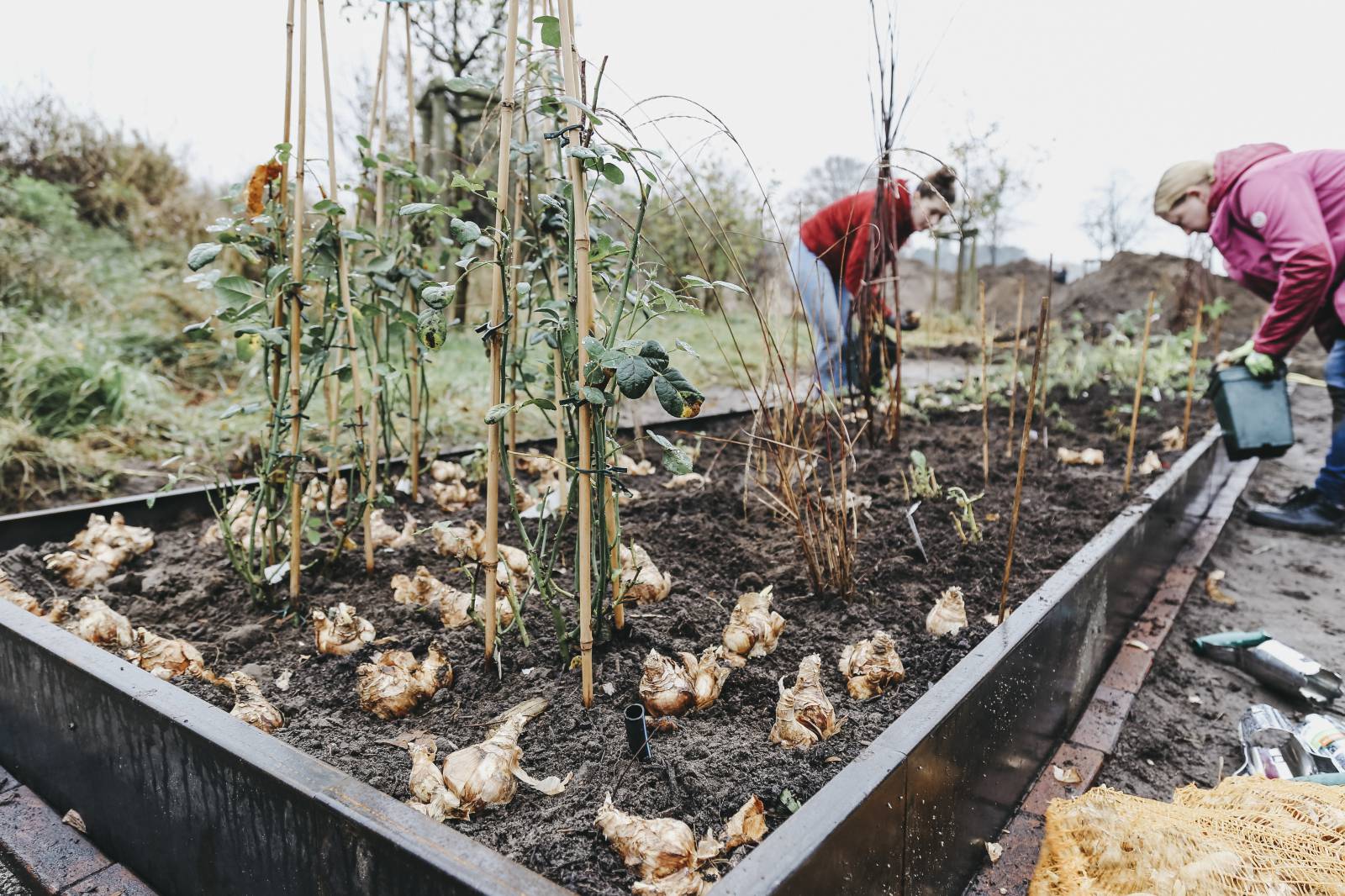 Neue Blumenbeete am Landhotel Voshövel angelegt Symbolfoto