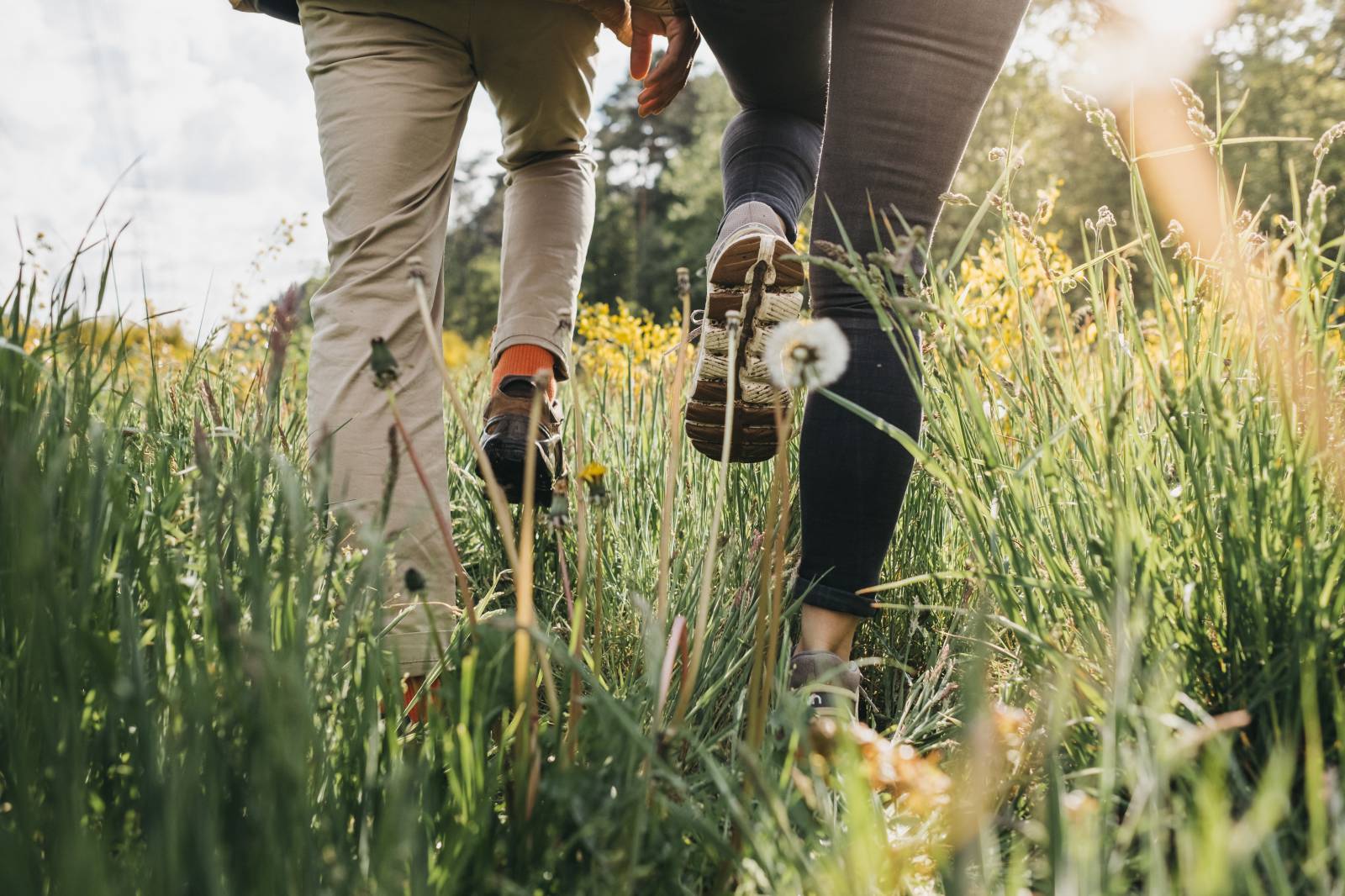 Ganzheitliches Entspannen am Voshövel Symbolfoto