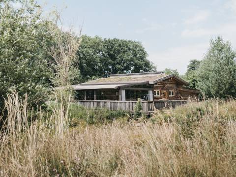 Summer Barbecue with Live Music image