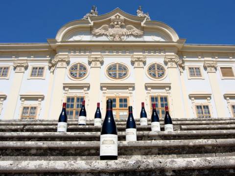 Winzerabend mit Schloss Halbturn image