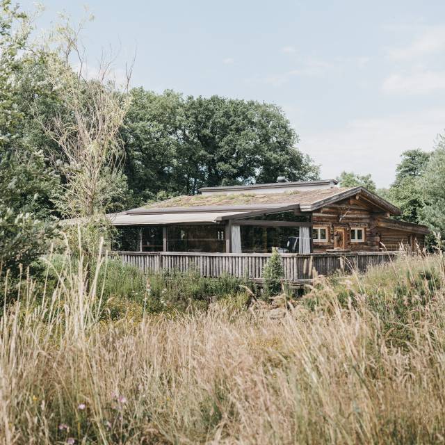 Summer Barbecue with Live Music