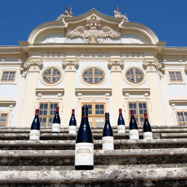 Winzerabend mit Schloss Halbturn