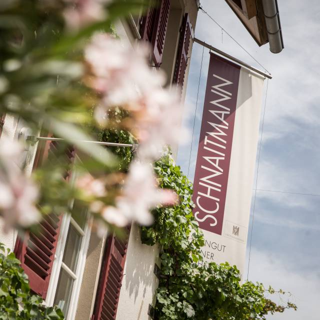 Winzerabend mit Schnaitmann